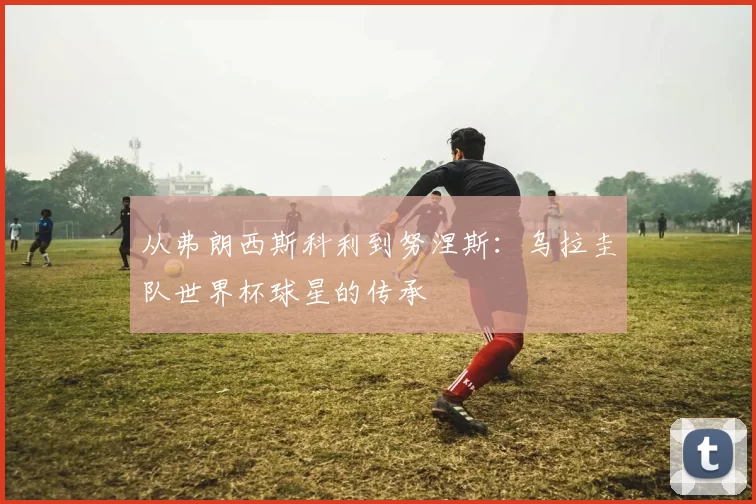 从弗朗西斯科利到努涅斯：乌拉圭队世界杯球星的传承