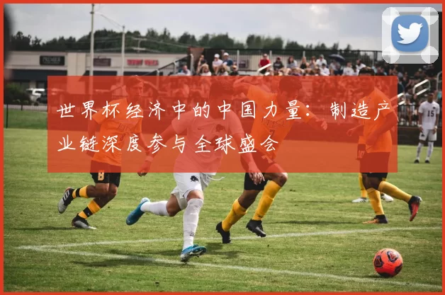 世界杯经济中的中国力量：制造产业链深度参与全球盛会