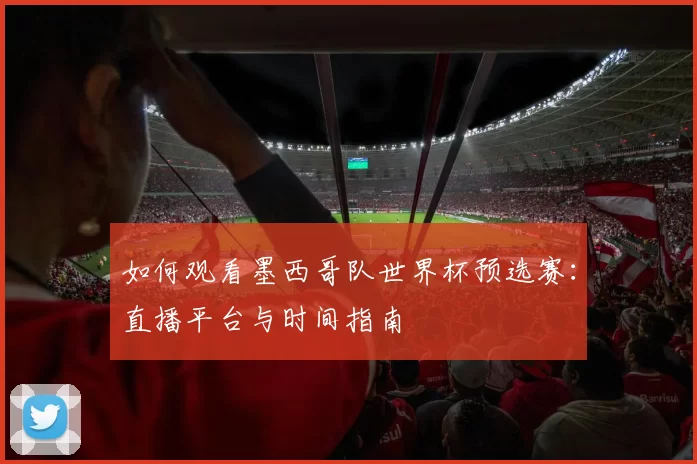 如何观看墨西哥队世界杯预选赛：直播平台与时间指南