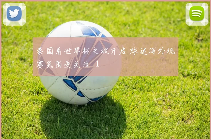 泰国看世界杯之旅开启 球迷海外观赛氛围受关注_1
