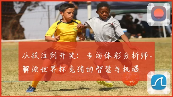 从投注到开奖：专访体彩分析师，解读世界杯竞猜的智慧与机遇