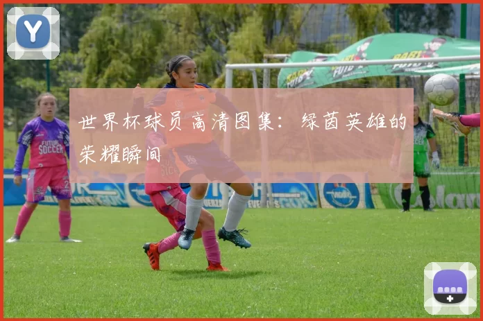 世界杯球员高清图集：绿茵英雄的荣耀瞬间