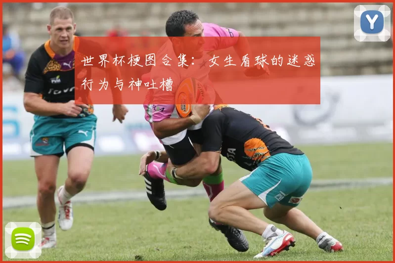 世界杯梗图合集:女生看球的迷惑行为与神吐槽