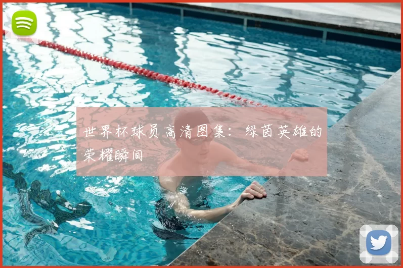 世界杯球员高清图集：绿茵英雄的荣耀瞬间