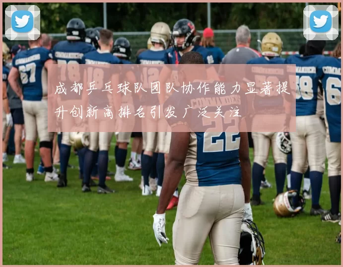 成都乒乓球队团队协作能力显著提升创新高排名引发广泛关注